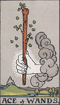 완드 에이스 (ACE OF WANDS) 타로 카드